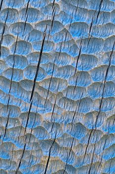 abstract background morticing wood texture pattern