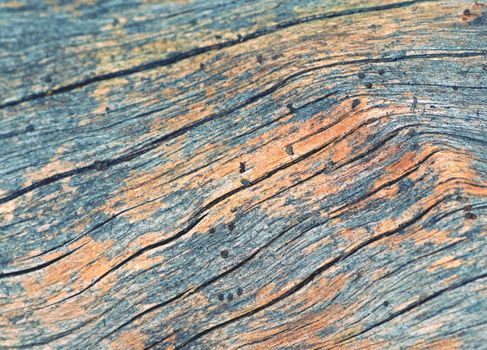 background or texture old board wood line