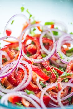 vegetable salad with onions and paprika