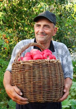 Elderly man, harvesting a apple