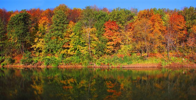 аutumn forest on the bank of the river and its reflection in the water
