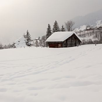 Old barn on snowy field in the Swiss Alps. Grindelwald, Switzerland.