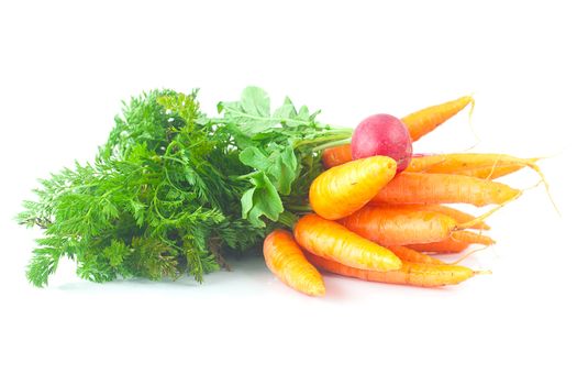 bunch of carrots and radish with green leaves isolated on white