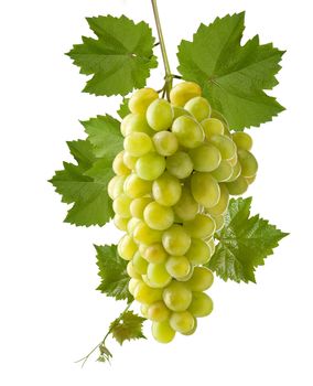 A shot of a bunch of green grapes, laying and isolated on white.