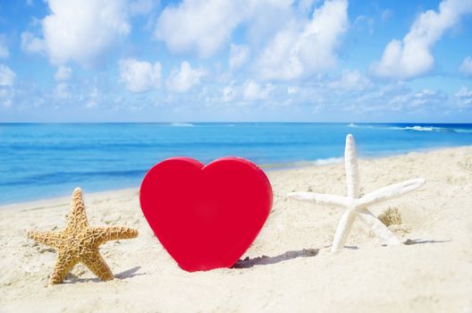 Heart shape and starfishes on sandy beach by the ocean in sunny day