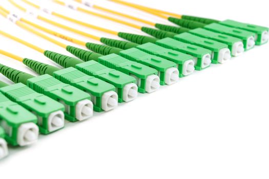 green fiber optic SC connectors on white background