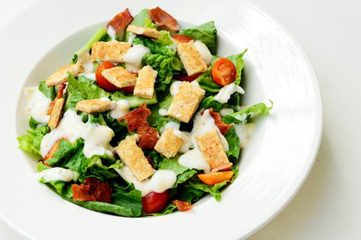 Delicious ceasar salad isolate on white background