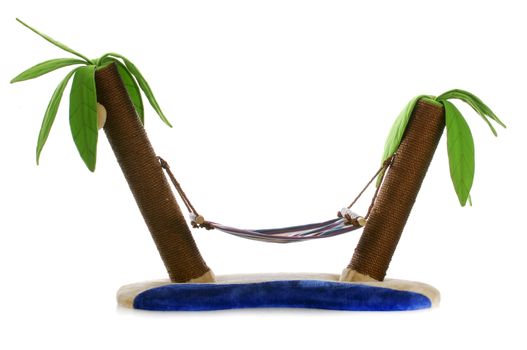 cat bed with scratching post - hammock between two palm trees on white background