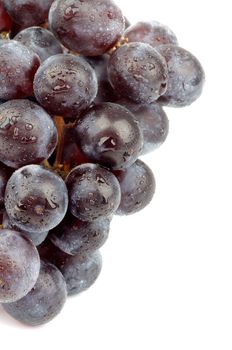 Half of Ripe Dark Red Grape Bunch isolated on white background