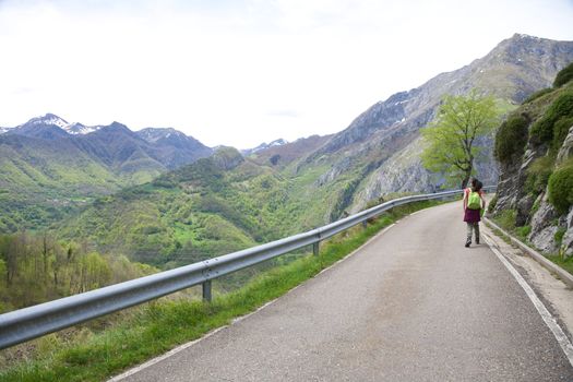 landscape at Picos de Europa mountains in Cangas de Onis Asturias