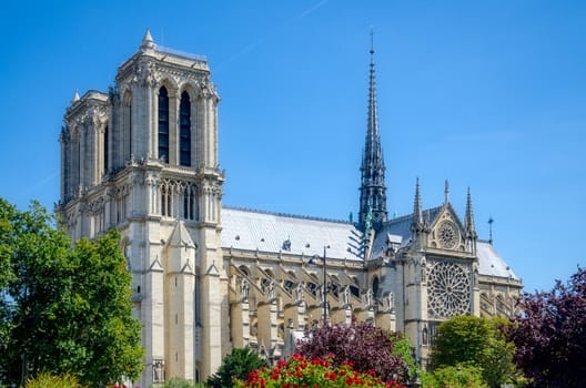 Notre Dame of Paris. France.