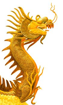 face of golden dragon isolated white