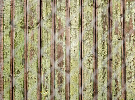 old wooden fence photographed over the net