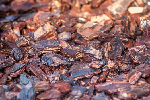 Background of pine bark nuggets layer used for gardening