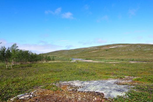 Beautiful tundra landscape in northern Norway at summer