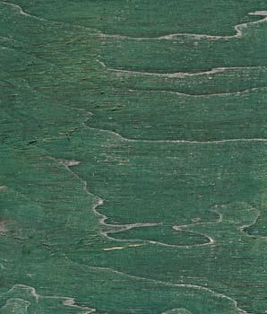 Green wooden background