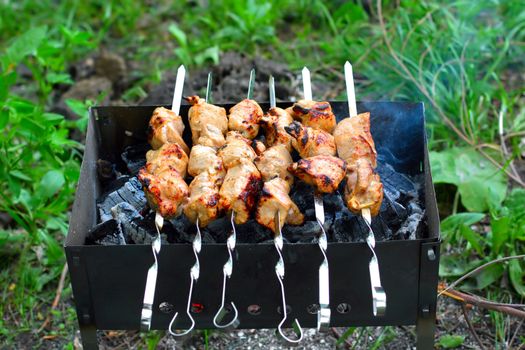 Shish kebab cooking on the nature