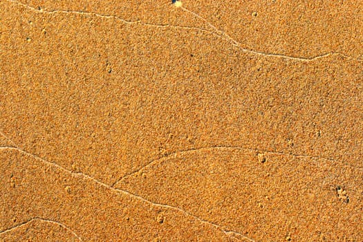 abstract texture with grain of sand for design