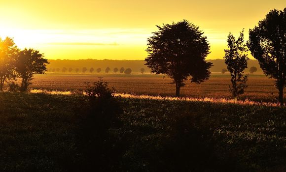 Golden sunset over the fields with long shadows. The picture is not edited, just cropped