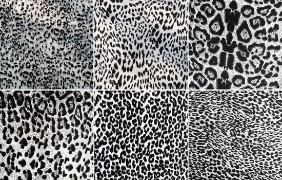 Animal pattern collage