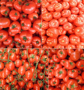 Collage of fresh tomatoes