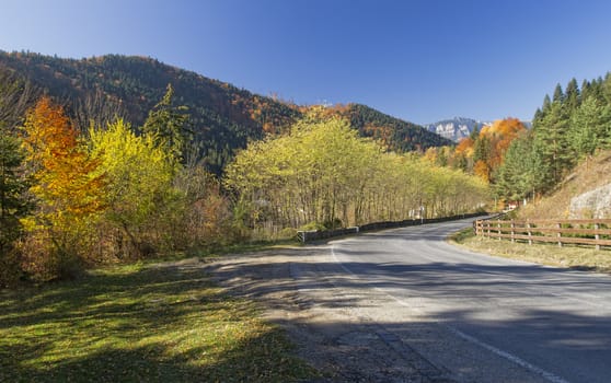 road in autumn mountain landscape