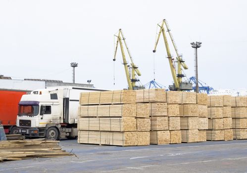 timber wood piles deposit for export