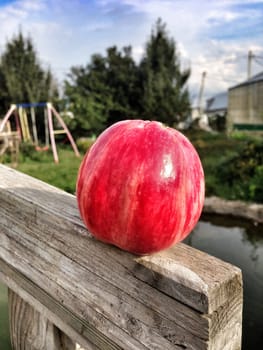 picture of apple lying on a wooden handrail in the garden sun osveschenoogo