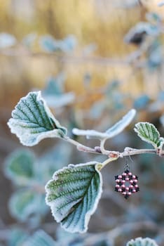 handmade earrings