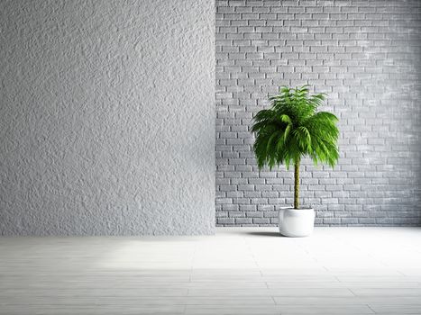 The empty room with plant near the wall