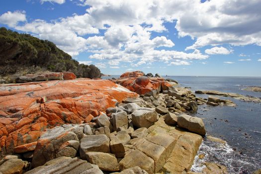 Bay of Fires, one of the most beautiful beaches of the world. Tasmania, Australia