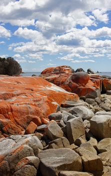 Bay of Fires, one of the most beautiful beaches of the world. Tasmania, Australia