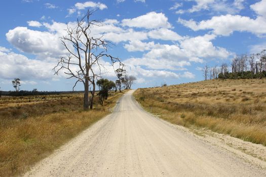 Typical dirt road in the north of Tasmania, Australia