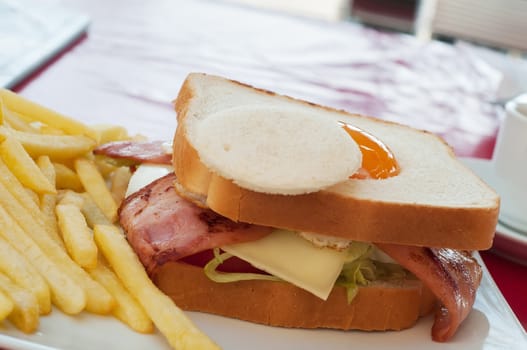 Sandwich with egg and french fries on the table