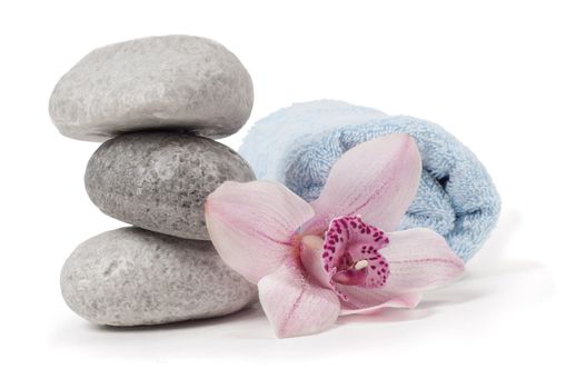 Shot for the spa isolated on white background