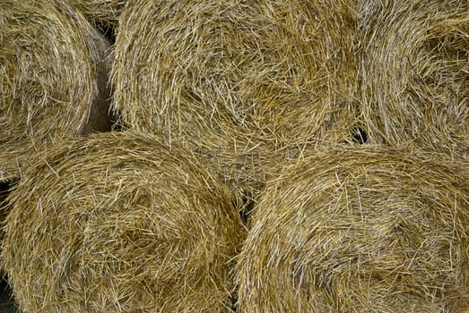 Stack of hay straw roll bales in the field after a summer harvest
