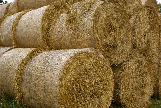 Stack of hay straw roll bales in the field after a summer harvest