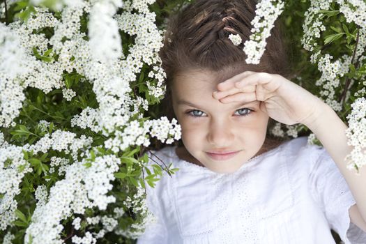 Portrait of beautiful little girl in spring blossom