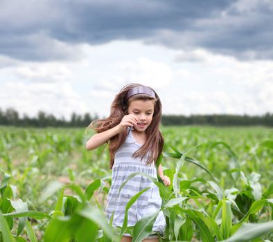 Joyful little girl running through the corn field