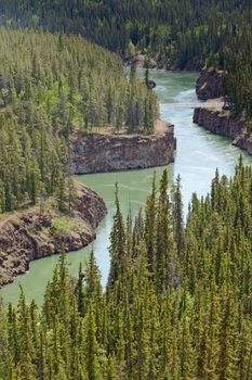Miles Canyon Yukon River rock cliffs in dense boreal forest taiga just South of the city of Whitehorse Yukon Territory Canada