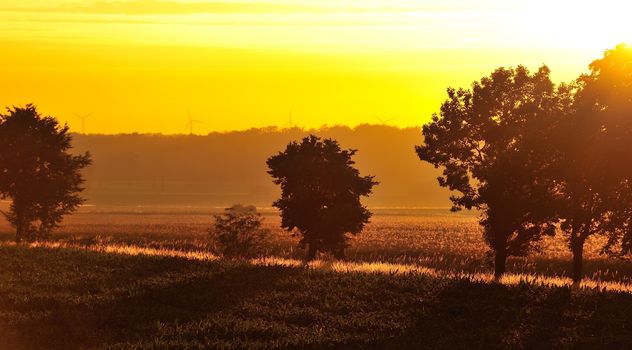 Golden sunset over the fields with long shadows. The picture is not edited, just cropped