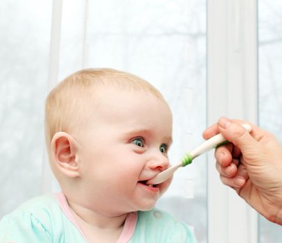 Parent feeding Hungry Baby in home interior