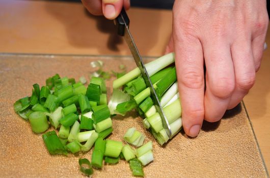 Spring onions are cut on a glass plate