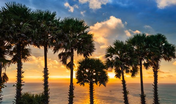 Set among palm trees on the island of Phuket