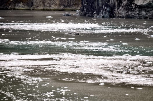  Icebergs float along the water