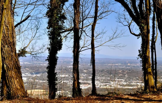 Point Park Overlook