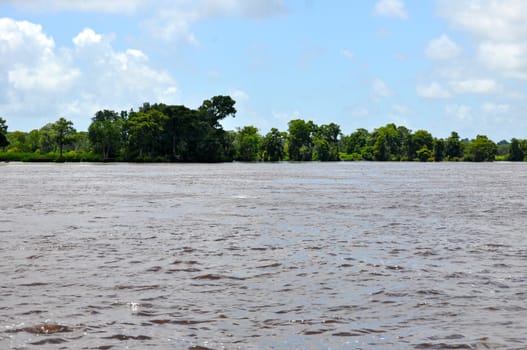 Waccamaw River