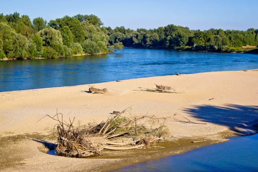 River of Drava green nature, Podravina region, Croatia