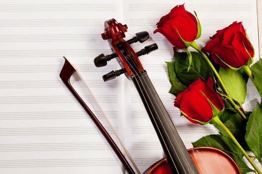 Red roses and a violin on the table