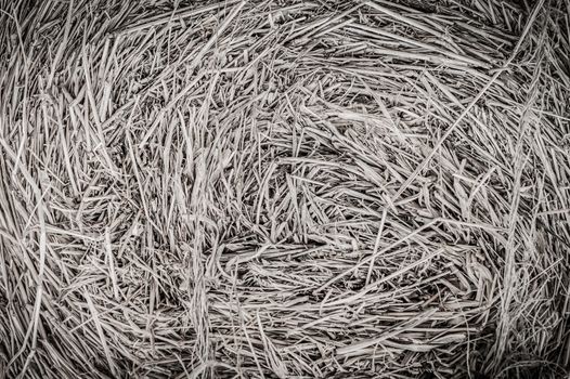 Dry hay closeup image as natural background.Black and white.